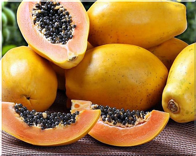 The colon and papaya.