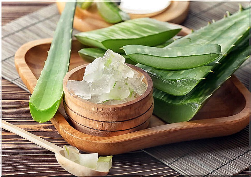 aloe vera.