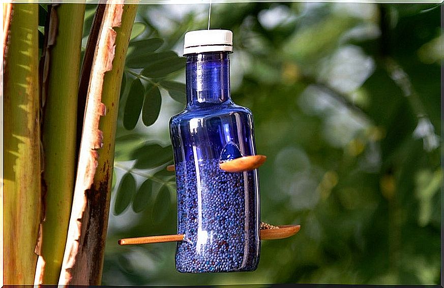 Reuse plastic bottles: bird feeders