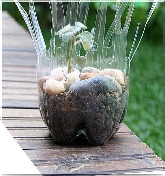 Reuse plastic bottles: flower pots