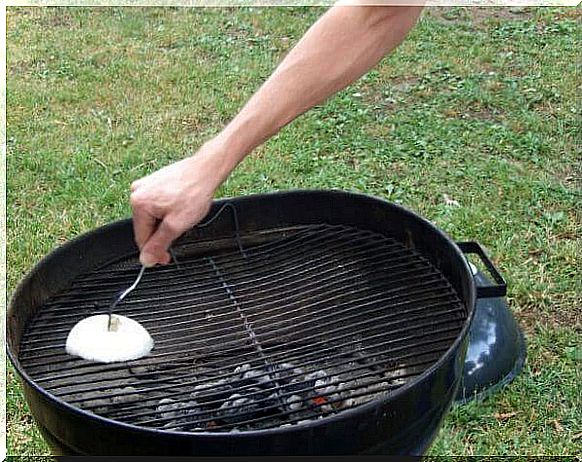 onion on the grill