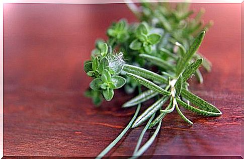 Thyme