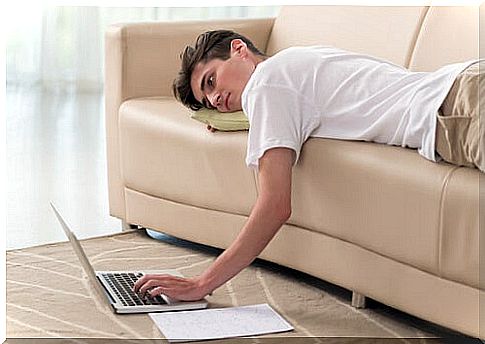 Boy consulting computer from sofa