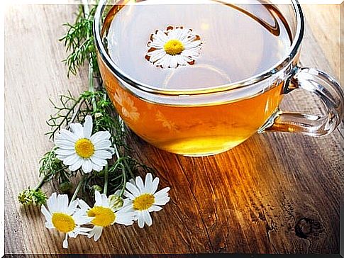 Chamomile infusion