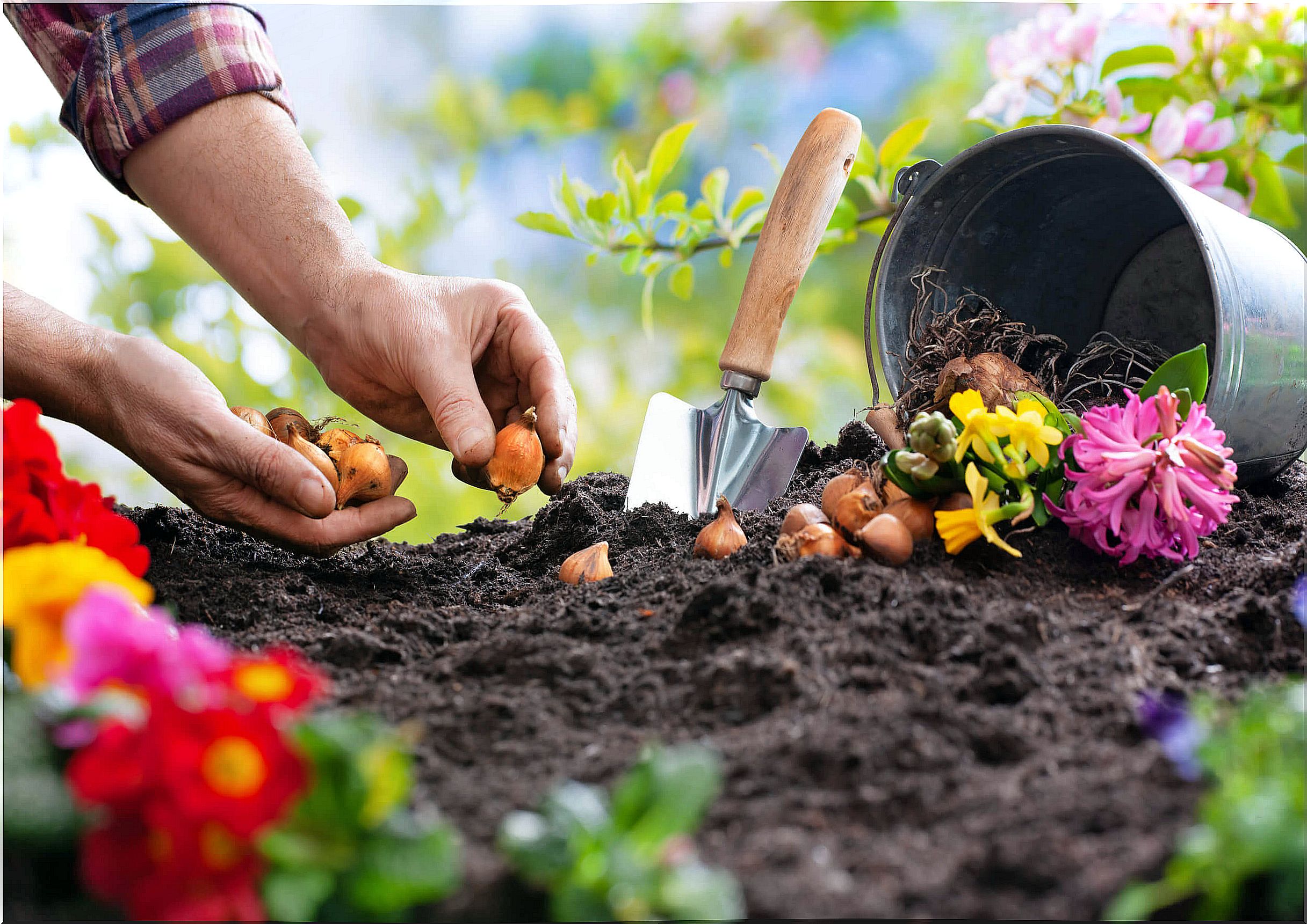 To relax in five minutes, gardening can be helpful.