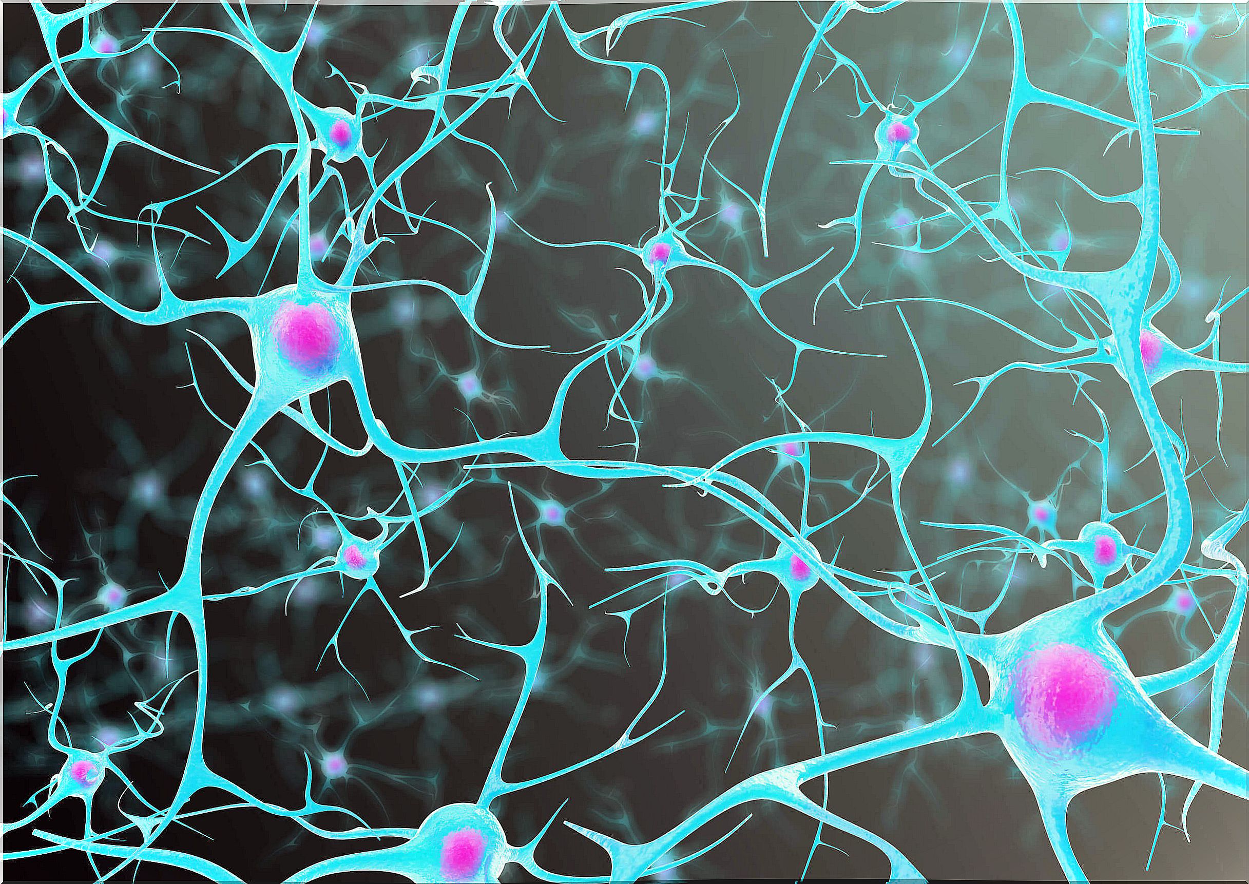 Acetylcholine is complex.