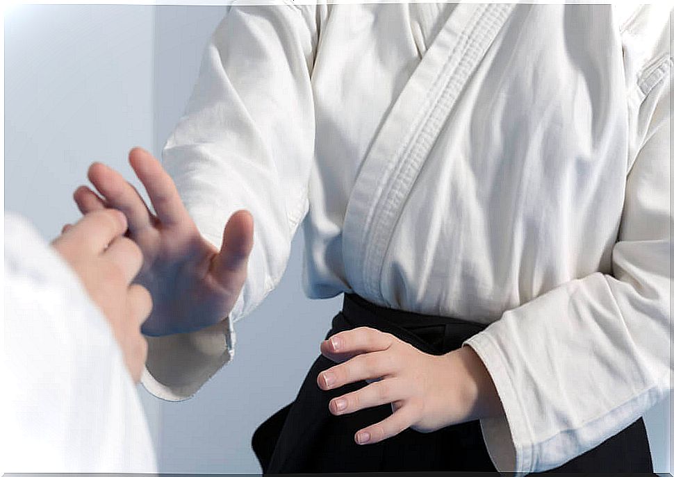 Aikido, martial arts