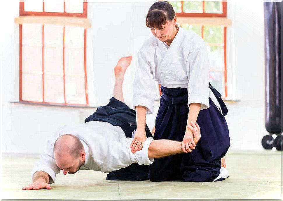 Martial arts, aikido