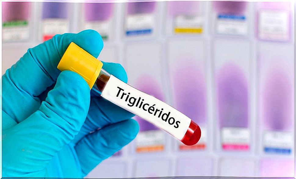 triglycerides