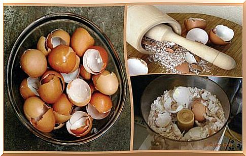 Discover 6 interesting natural remedies with eggshell