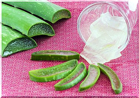 How to freeze aloe vera gel