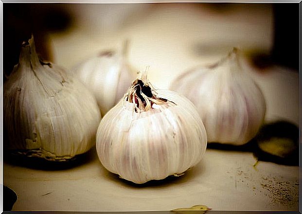 Garlic