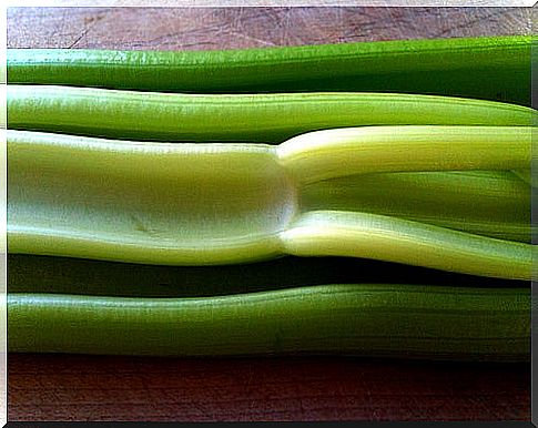 Nutritional benefits of celery for health