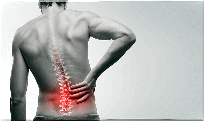 How to take care of your back health