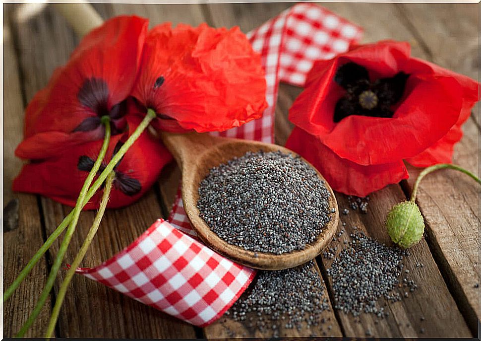 poppy seeds along with flowers