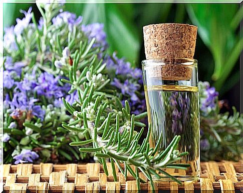 Rosemary remedies to improve circulation