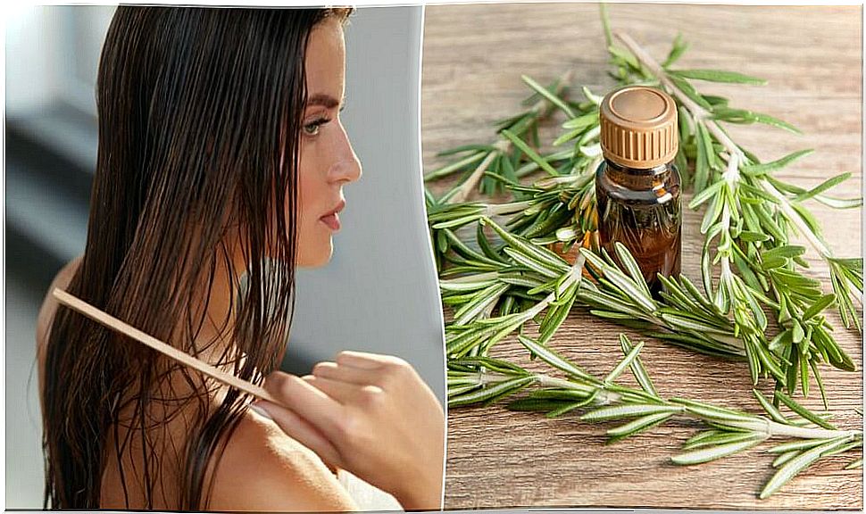 5 interesting benefits that rosemary gives your hair