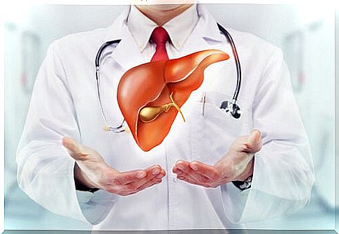 Doctor with an illustration of a liver in the hands.