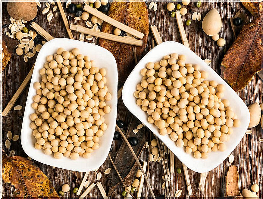 Soy protein: good or bad for your health?